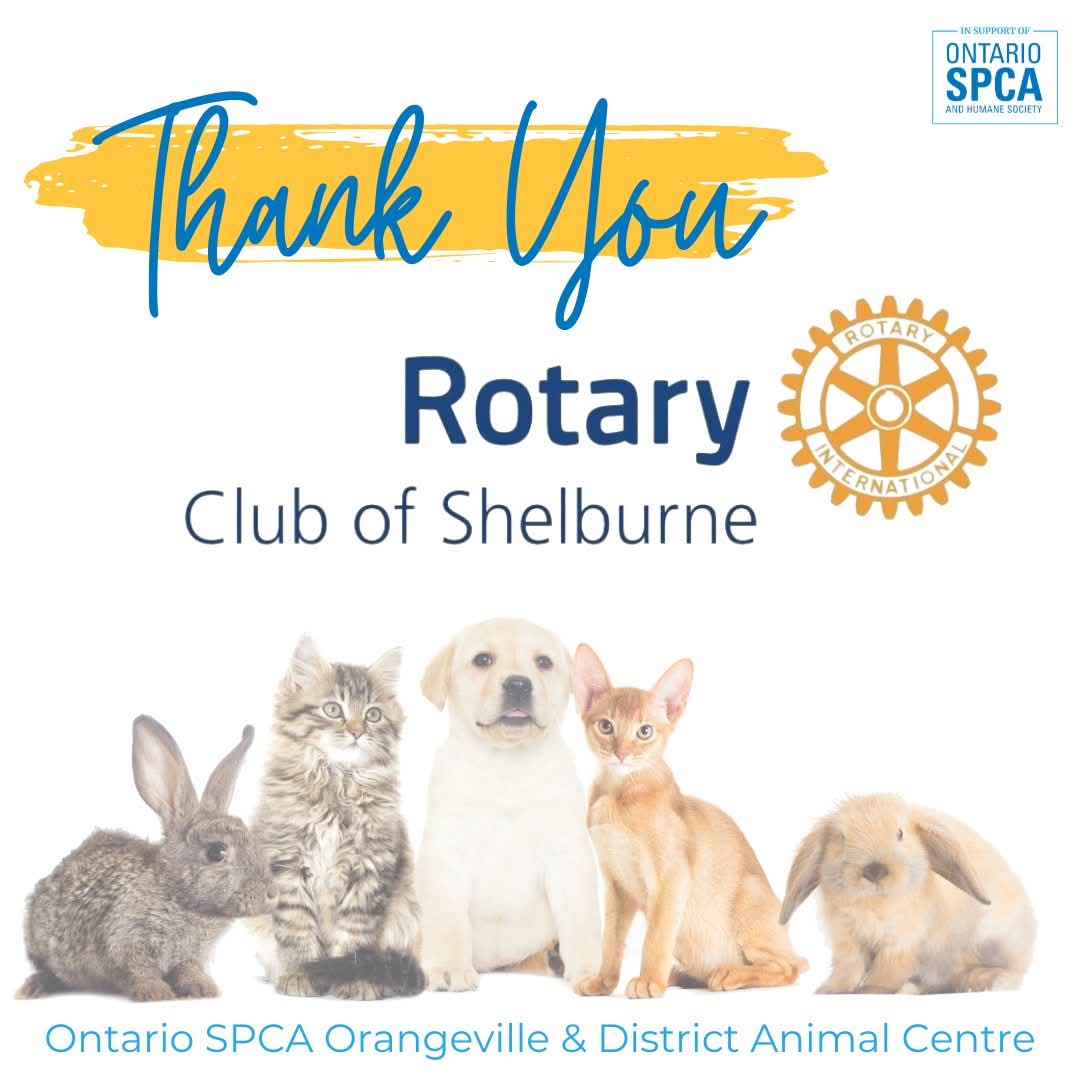 Read more about the article We’re Appreciated!