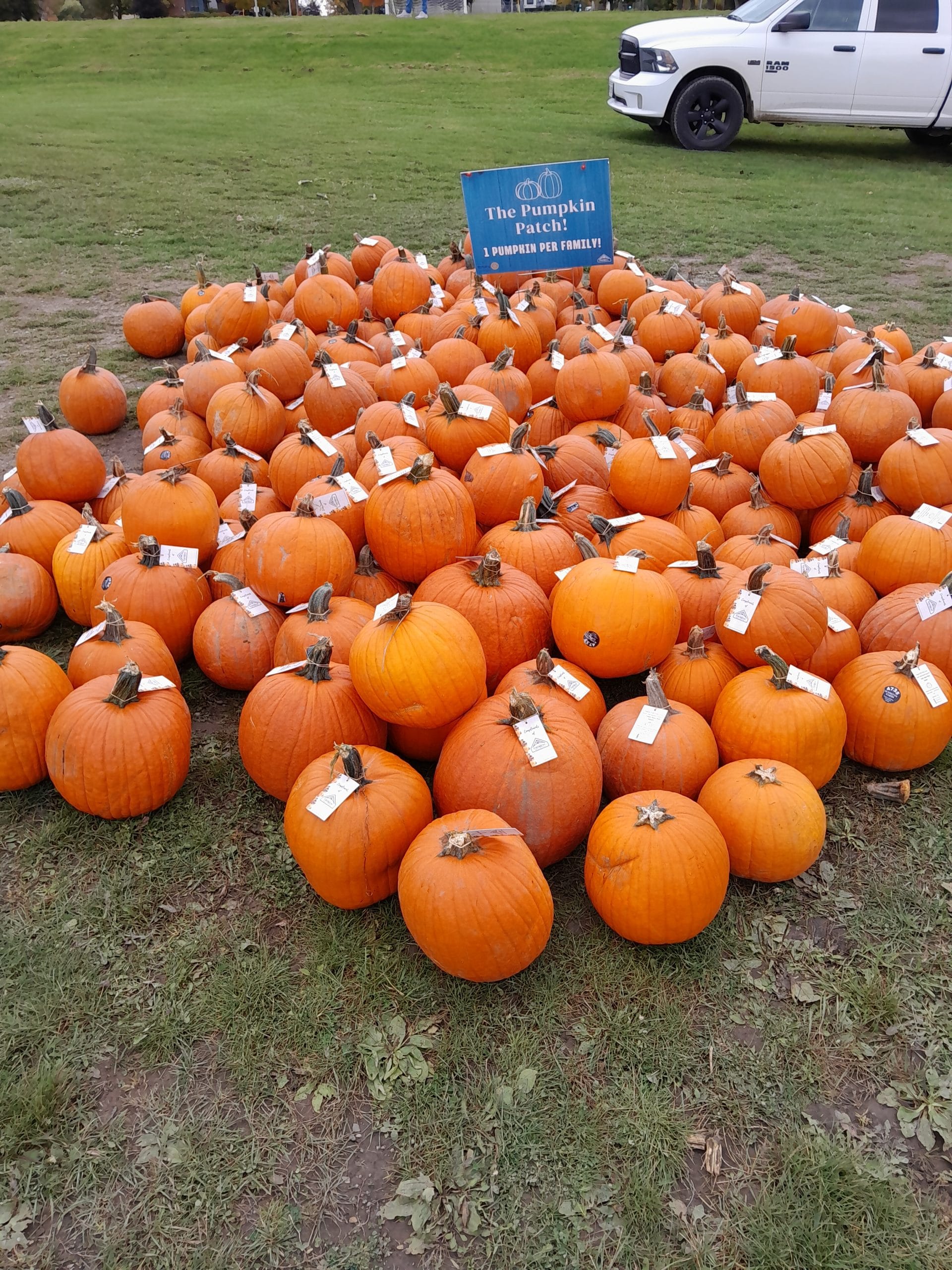 Read more about the article An Awesome PumpkinFest!
