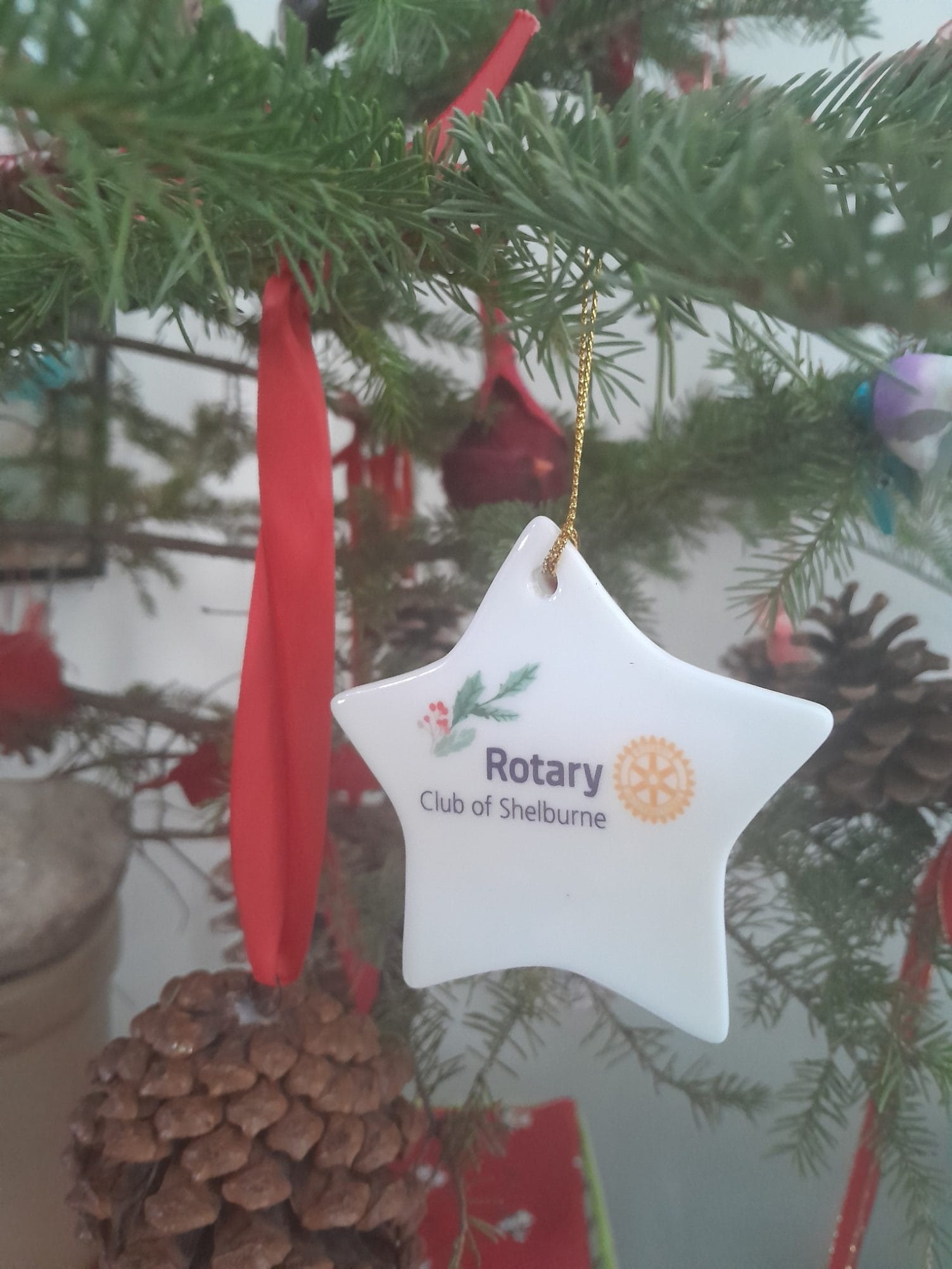 Read more about the article Holiday Greetings